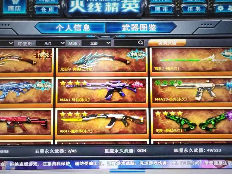 火线精英最新武器深度探讨，揭秘最新精英武器风采