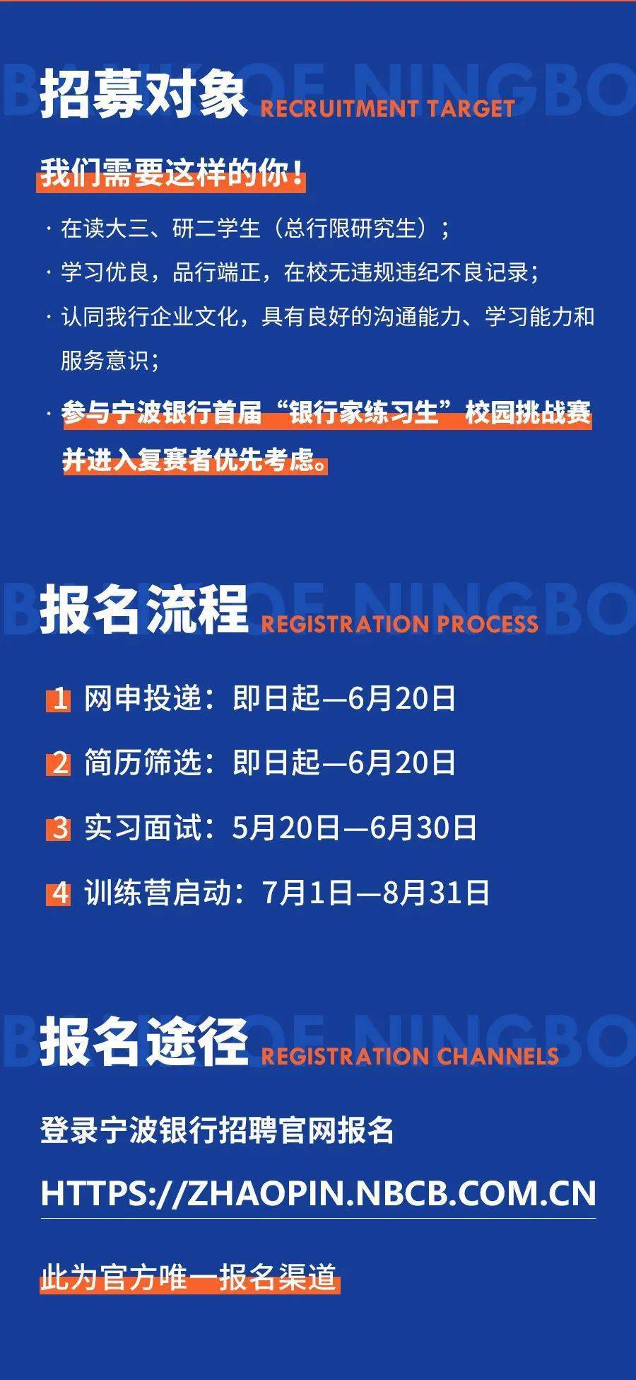 宁波最新招聘探秘，小巷中的职业机遇