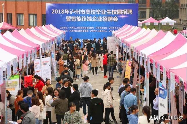 南充最新求职招聘，时代脉搏与人才交响的交汇点