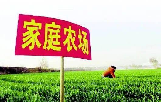 农业扶持最新政策助力乡村振兴，共创绿色农业未来！