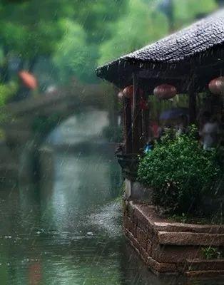 烟雨江南最新小说揭秘，小巷深处的神秘特色小店